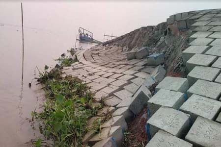বছর না যেতেই চরভদ্রাসনে পদ্মা রক্ষা বাঁধে ধ্বস