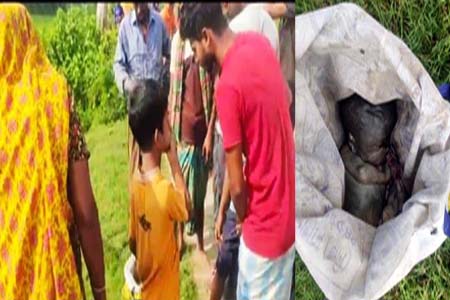 মহেশপুরে নবজাতক শিশুর লাশ উদ্ধার