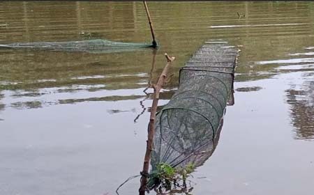 চায়না দুয়ারী জালে সয়লাব
