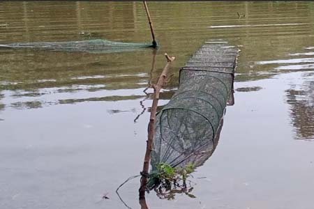 চায়না দুয়ারী জালে সয়লাব
