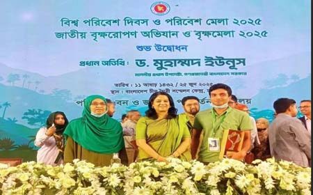 জাতীয় পরিবেশ পদক