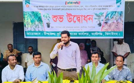 নারিকেল চারা বিতরণ