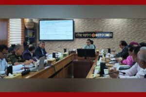 চা খাত পুনরুজ্জীবনে দীর্ঘমেয়াদি পরিকল্পনা, আয়ের বহুমুখীকরণে জোর
