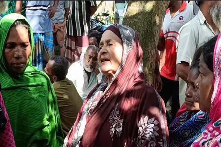 গরুসহ কৃষকের মৃত্যু