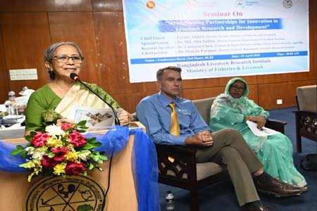 মুনাফার জায়গা গোখাদ্য