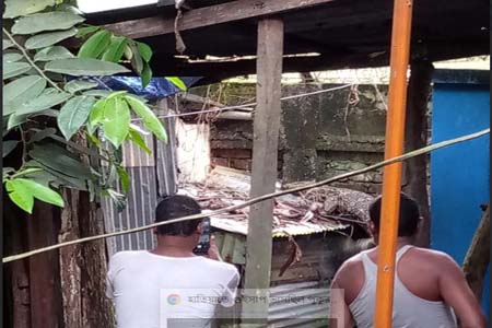 কুমির গুজবে তোলপাড়