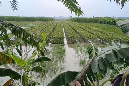 পানির নিচে