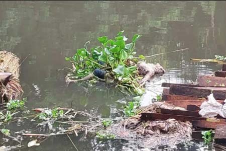 অর্ধগলিত লাশ উদ্ধার