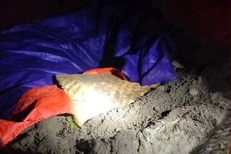 ‘জিনের নির্দেশে’ দাফনের ১২ ঘণ্টা পর নারীর মরদেহ উত্তোলন