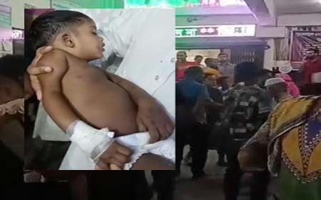 ভিমরুলের কামড়ে শিশুর মৃত্যু
