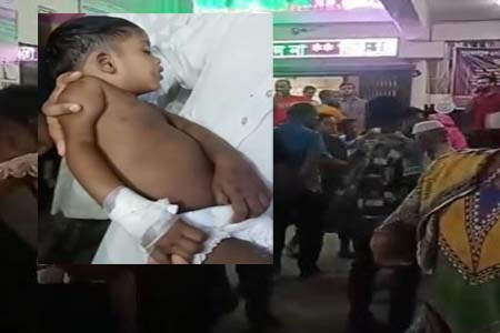ভিমরুলের কামড়ে শিশুর মৃত্যু