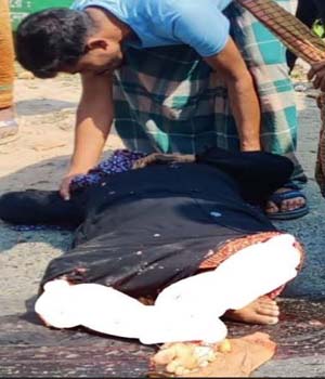 সড়ক দুর্ঘটনায় মহিলা
