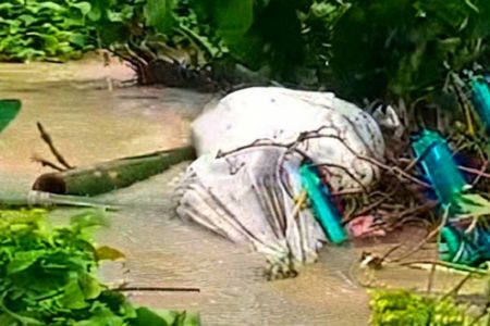 পানির স্রোতে কবরস্থানে ভেসে উঠল ৩ লাশ