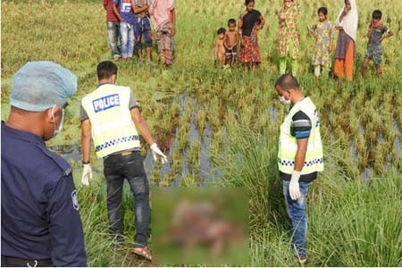 নন্দীগ্রামে অজ্ঞাত ব্যক্তির মরদেহ উদ্ধার