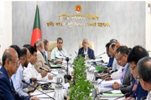ডেঙ্গু প্রতিরোধে প্রতিমন্ত্রীর তত্ত্বাবধানে বিশেষ টাস্কফোর্স গঠনের সিদ্ধান্ত