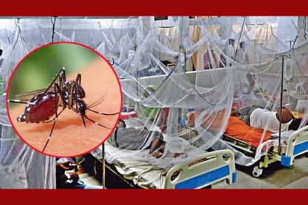 ডেঙ্গুতে একদিনে ১০ জনের মৃত্যু, হাসপাতালে ভর্তি ১ হাজার ৯৪৩