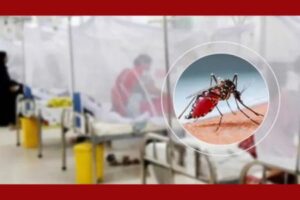 ডেঙ্গুতে আরও ৬ জনের মৃত্যু, হাসপাতালে ভর্তি ১ হাজার ৯৪২
