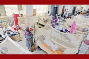 ডেঙ্গুতে আরও ৪ জনের মৃত্যু, চলতি বছরে প্রাণহানি ২৯৯