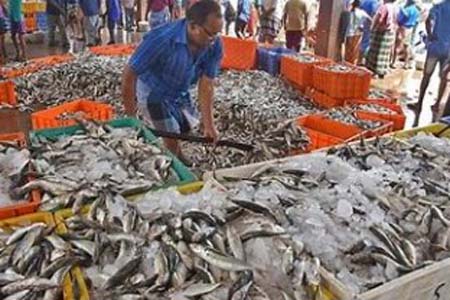 বাজারে দেশি মাছ