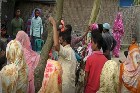 মৌমাছির কামড়ে বৃদ্ধের মৃত্যু