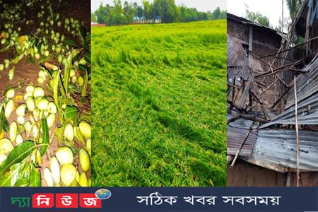 কালবৈশাখী ঝড়ে কৃষকের স্বপ্নবিলীন
