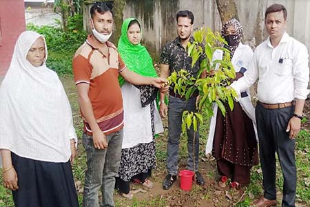 ধামইরহাটে পরিবার পরিকল্পনা দপ্তরের উদ্যোগে জাতীয় শোক দিবসে বিভিন্ন প্রজাতির ফলদ বৃক্ষরোপন