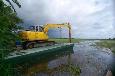 মাছের ঘের নির্মানের চেষ্টা