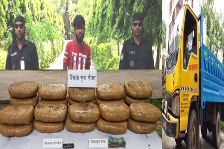 দিনাজপুর র্যাব অভিযানে ৫১ কেজি গাঁজা, নগদ অর্থ ও পিকআপসহ মাদক ব্যবসায়ী আটক
