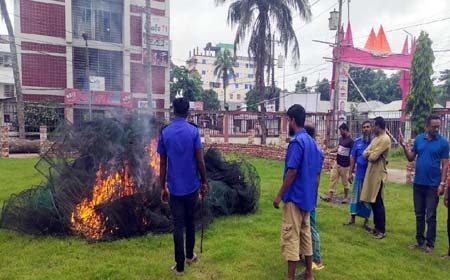 অবৈধ চায়না দুয়ারী জাল