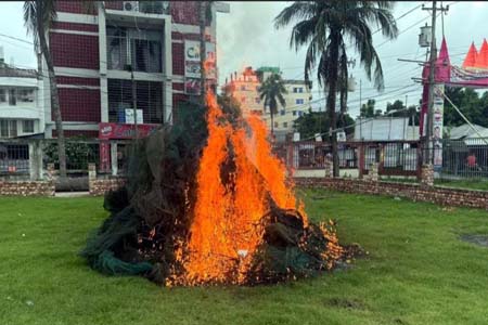 চায়না দুয়ারী জাল