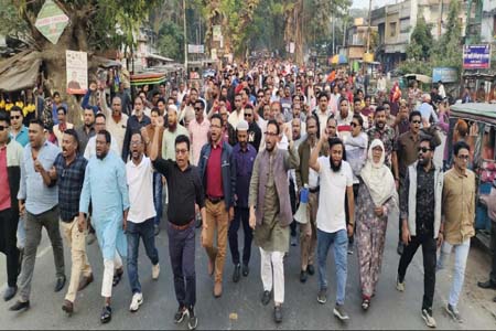 আওয়ামী লীগের লকডাউন কর্মসূচির বিরুদ্ধে উপজেলা বিএনপির