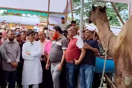 ১ কোটি পশু কুরবানি