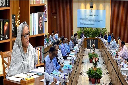 নিত্যপণ্য সাধারণ মানুষের ক্রয়ক্ষমতার মধ্যে রাখতে হবে, একনেক সভায় প্রধানমন্ত্রী