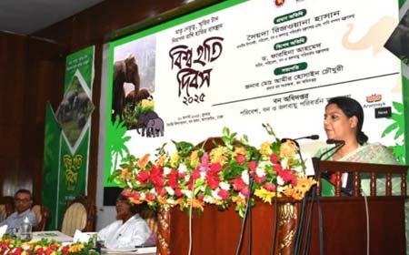 হাতি সংরক্ষণে আবাসস্থল রক্ষা, করিডোর মুক্তকরণ ও সচেতনতা জরুরি