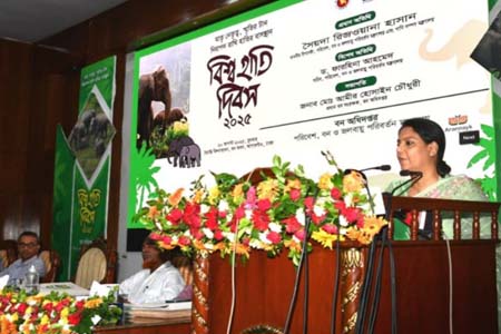 হাতি সংরক্ষণে আবাসস্থল রক্ষা, করিডোর মুক্তকরণ ও সচেতনতা জরুরি