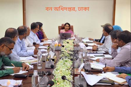 আকাশমণি গাছ রোপণ বন্ধ