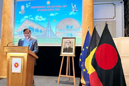 ইউরোপীয় ইউনিয়নের ভুমিকা