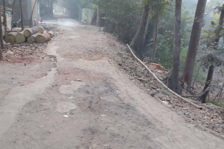 সংস্কারের অভাবে আড়পাড়া গ্রামীন পাকা রাস্তার বেহাল দশা