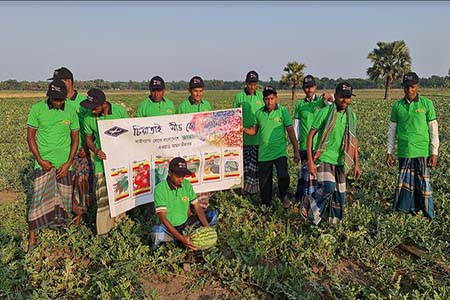 তরমুজের বাম্পার ফলন