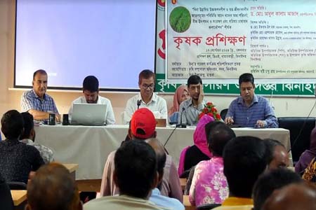 ঝিনাইদহে আমন ধান ও সরিষা চাষাবাদ কলাকৌশল শীর্ষক কৃষক প্রশিক্ষন