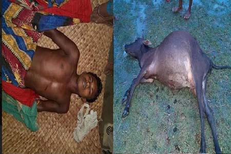 ভোলায় বজ্রপাতে গরু সহ কৃষক নিহত