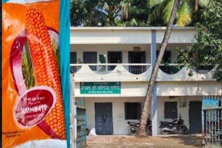 কালীগঞ্জে কৃষি প্রণোদনার বীজ ও সার পাচ্ছেননা প্রকৃত কৃষক