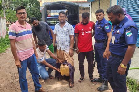 ঝিনাইদহ কালীগঞ্জে গাঁজাসহ বাবা-ছেলে আটক