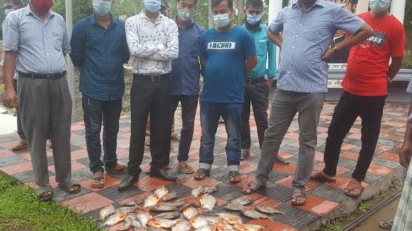 নিষিদ্ধ পিরানহা মাছ জব্দ