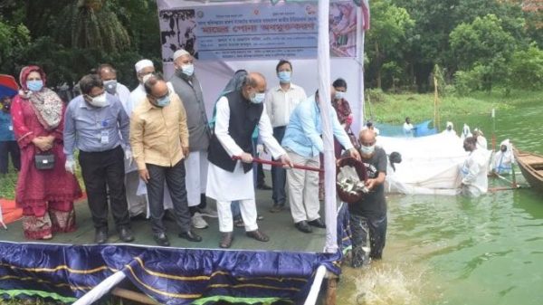 অর্থনীতিতে বড় ভূমিকা মাছ