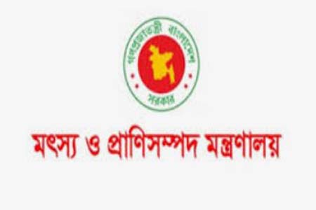 বিক্রয় কার্যক্রম