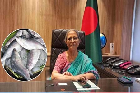 ভারতের তিস্তা সমস্যার সমাধান