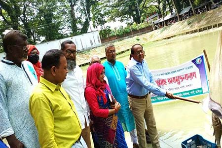 শার্শায় রাজস্ব বরাদ্ধের আওতায় পোনা মাছ অবমুক্তকরণ