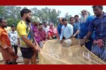 দীর্ঘ ৪ মাস পর মান্দার বিলে জালের ঝংকার, মাছ ধরার অনুমতি পেয়ে খুশির জোয়ারে জেলেরা