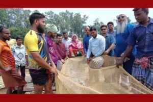 দীর্ঘ ৪ মাস পর মান্দার বিলে জালের ঝংকার, মাছ ধরার অনুমতি পেয়ে খুশির জোয়ারে জেলেরা